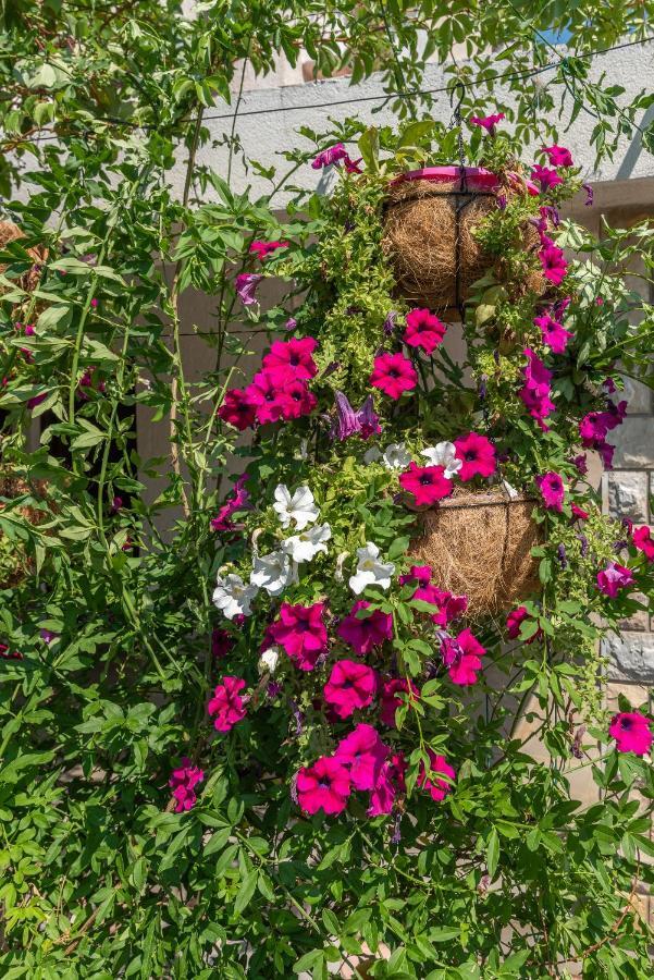 Apartments Vojin Trogir Dış mekan fotoğraf